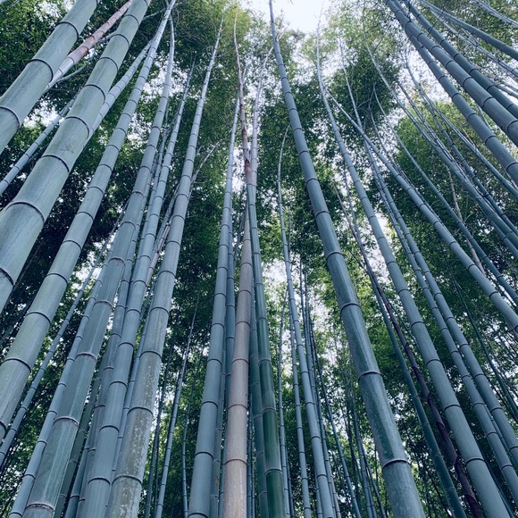 Send Your Considerate Offers, Bundle Your Likes - Picture 2 of 16